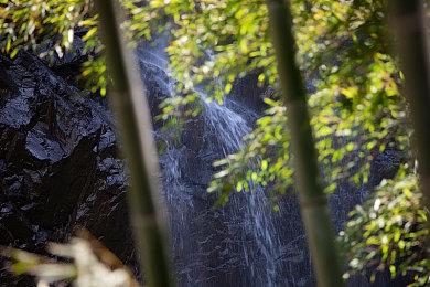 《仙剑奇侠传7》今年夏季加入Xbox Game Pass